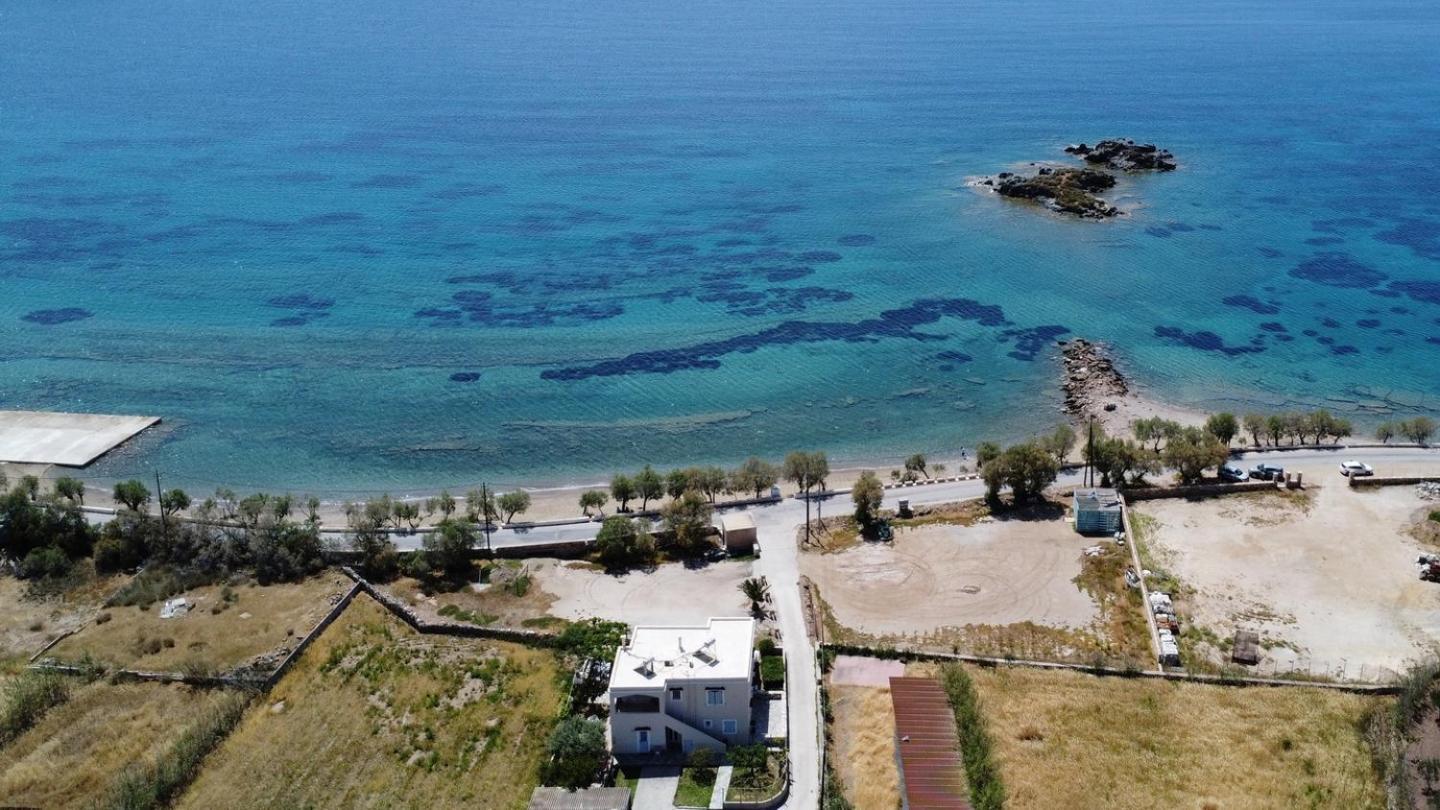Olea Suite Syros - Φοίνικας, Σύρος, Κυκλάδες 波西多尼亚 外观 照片